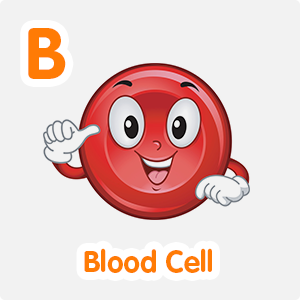 Blood Cell Blood Cell